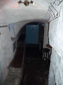 p1000334