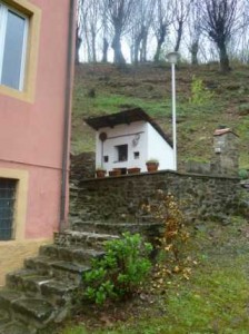 p1000537